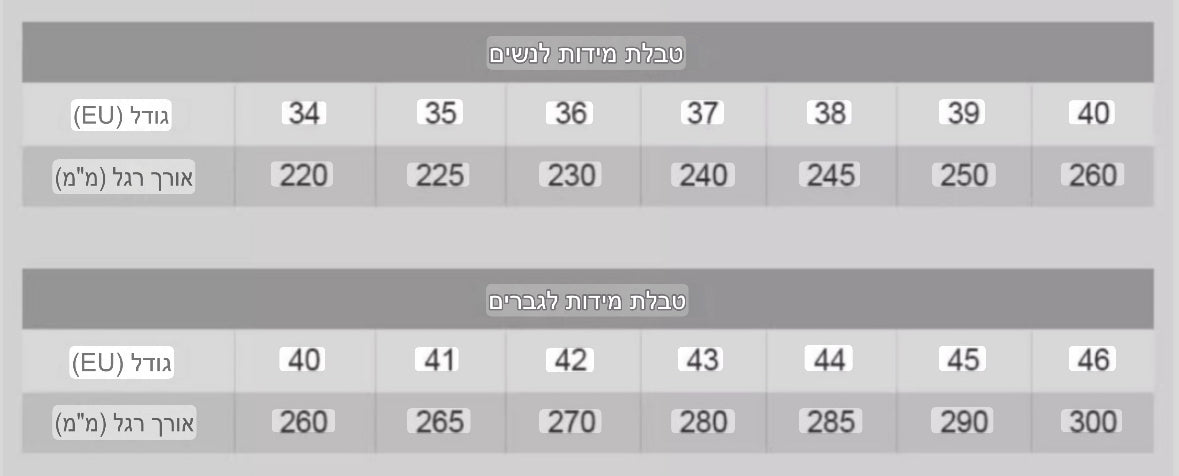 כפכפי בירקן Birken Boston