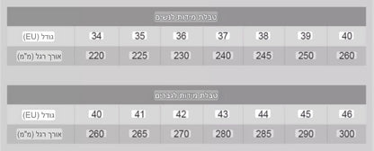 כפכפי בירקן Birken Boston