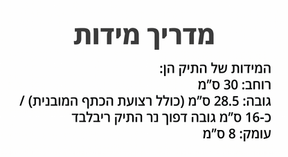 Medium Poly Bag - תיק סלין